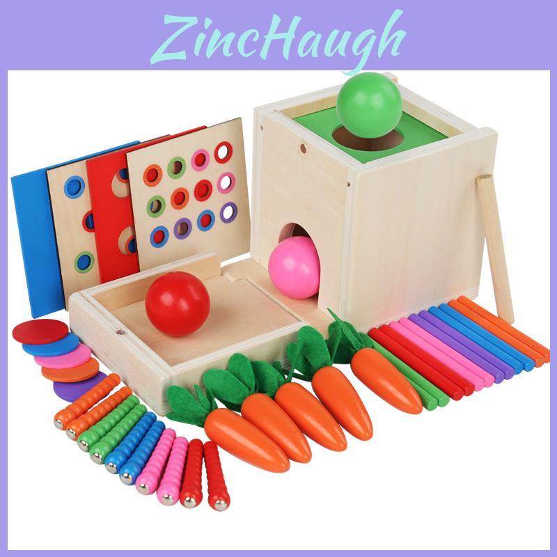 Montessori Sixinone Wooden Puzzle Coin Box With Color Matching For Preschool Learning