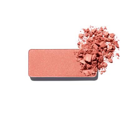 Shu Uemura Face Color 3g ES Rusty Coral 364 (refill)
