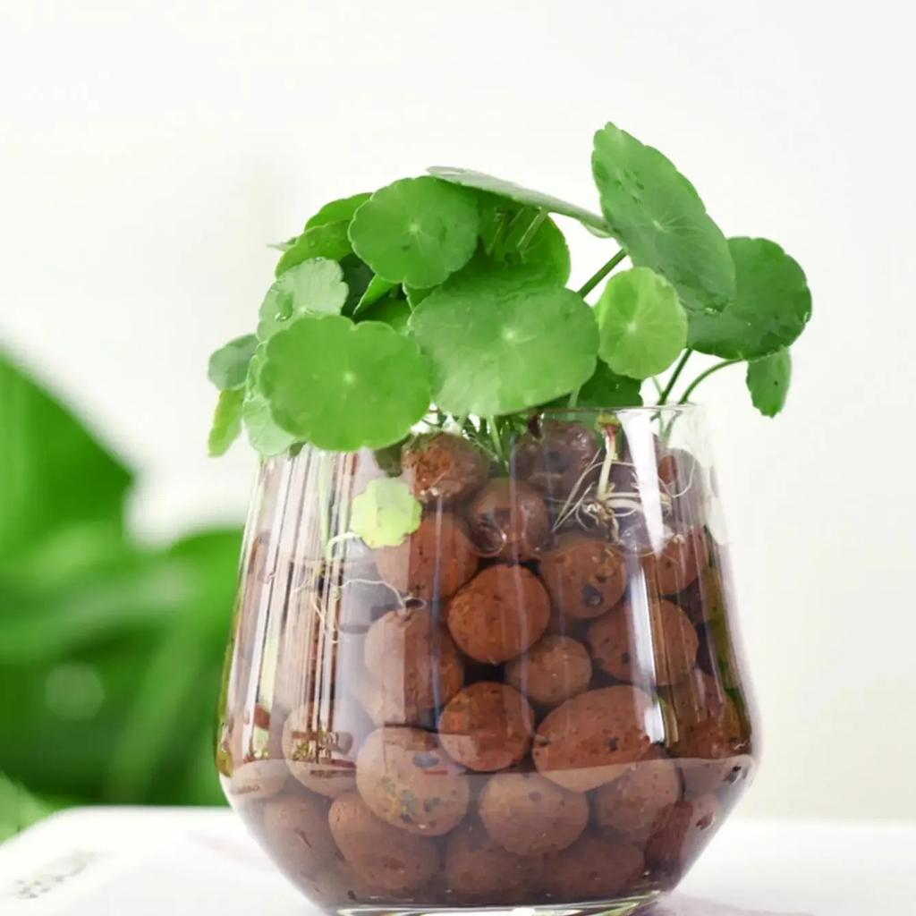 500g/pack Leca Balls Clay Pebbles For Plants, Clay Pebbles For Hydroponic Growing,