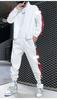 Tracksuit Hoodie and Pants Outerwear Training Running Long Plus Solid Sportswear [CREAM] Men's Set, 2-Piece Set, Sportswear, Wear, Wear, Casual,