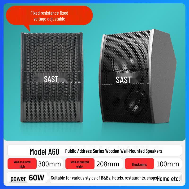 SAST A60 Passive Wall/Ceiling Speaker (CN version)
