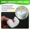 M-Modern-50 Pcs Hydroponic Sponge Overground, Soilless Hydroponics Vegetable Growing System Greenhouse Plant Gardening Tool 50Mm