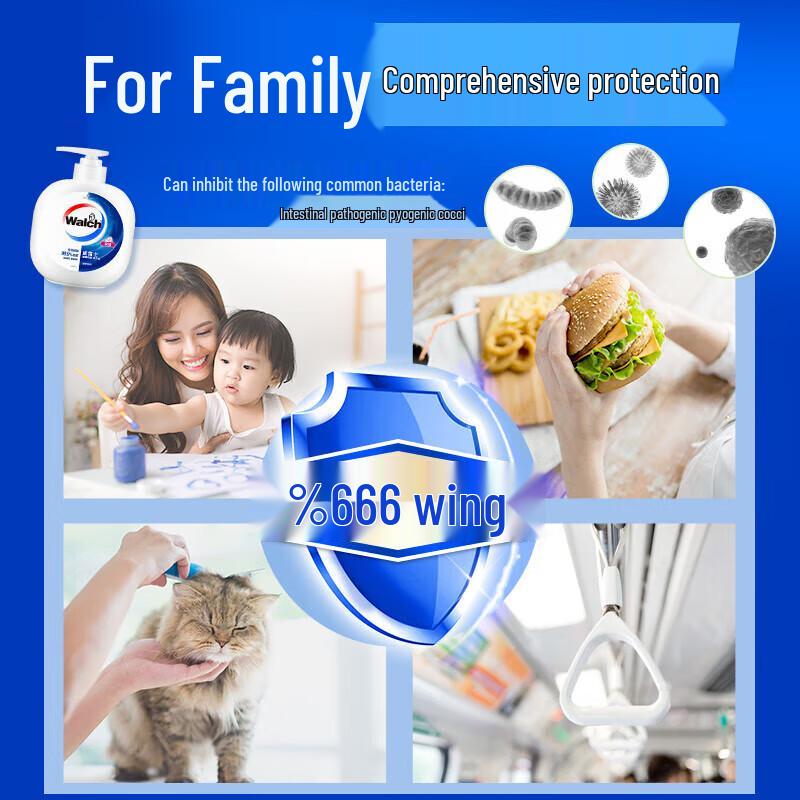 Walch Healthy Antibacterial Foaming Hand Wash