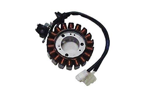 

Genuine Yamaha Motor (Yamaha) Generator for 4th Generation Cygnus X (2JS-H1410-00990480)