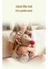 Adorable Mouse Plush Toy: Flower Cloth, Children's Hug Pillow & Soothing Doll - Perfect Birthday Gift