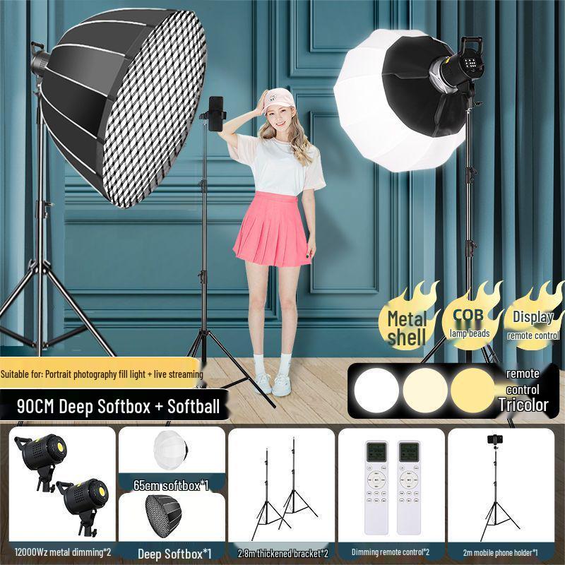 Zheyu Bright Spherical Fill Light for Indoor Live Streaming and Photography