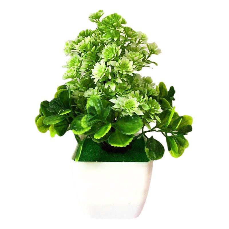 Plant Potted Chrysanthemum Decor For Tabletop Display And Giving Gift