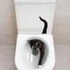 Self-Adhesive 3D Toilet Lid Stickers Funny Cat WC Sticker Cute Toilet Seat Decals