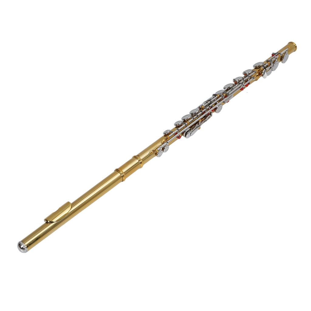 C Flute 16 Keys Instrument Kit for Beginner Students with Carrying Case Tuning Rod Cloth Bracket Gloves Screwdriver