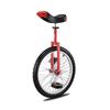 Cross-Border Unicycle for Children and Adults