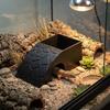 Anti Drowning Reptile Hideout Cave Plastic Automatic Feeding Plate  Turtle Tank Ornaments