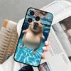 Cute Capybara Soft Back Phone Cover Case for iPhone 12 13 Mini 7 8 17 16 Pro Max X XS XR 15 Plus SE 11 17Air 14