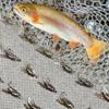 Fly Fishing Flies 18Pcs-2 Boxs Bundle 3 Different Styles Wet Flies Bait for Catching Fish Like Trout/Bass Etc In Fresh Water