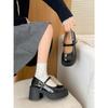 Black Retro French with Skirt Thick Heel High Heels 2026 New Spring and Autumn Heightening Mary Jane Small Leather Shoes