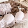 Sexy 1/2 Cup Push Up Bra Set Women Lace Flowers Embroidery Underwear Wire Free Thickened Cup Romantic Detachable Strap Lingerie
