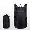 Polyester Camping Backpack Zipper Foldable Travel Bag Portable Sports Backpack Outdoor