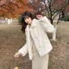 Plush horn buckle imitation fur coat women's autumn and winter new gentle wind thickened thin top light