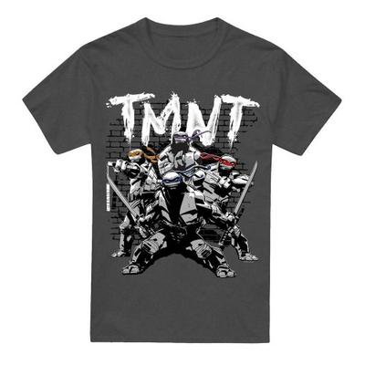 Teenage Mutant Ninja Turtles Unisex Adult TMNT Team T-Shirt