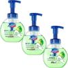 Safeguard Green Apple Scent Foaming Hand Wash (3-Pack)