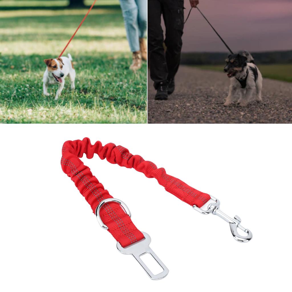 Dog Leash 3 in 1 Explosion Proof Retractable Bungee Dog Training Leash for Hiking Camping Backyard Beach