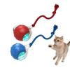 Tiny Fetch Dog Toy,Tinyfetch Interactive Dog Cat Toys Balls,Fast Moving Ball