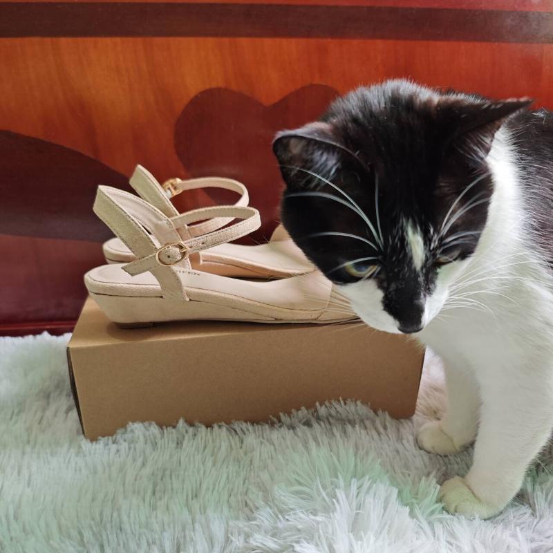 Sandali con zeppa da donna estivi casual con tacco basso open toe comodi con cinturino alla caviglia sandali con tacco alto scarpe da festa da sposa
