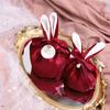 Easter Rabbit Bunny Ears Candy Bag Ribbon Bowknot Jewelry Pouches Egg Basket Storage Tote Cookie Container AXYD