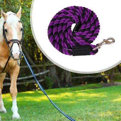 Corda da passeggio per equitazione per l'addestramento del cavallo con moschettone