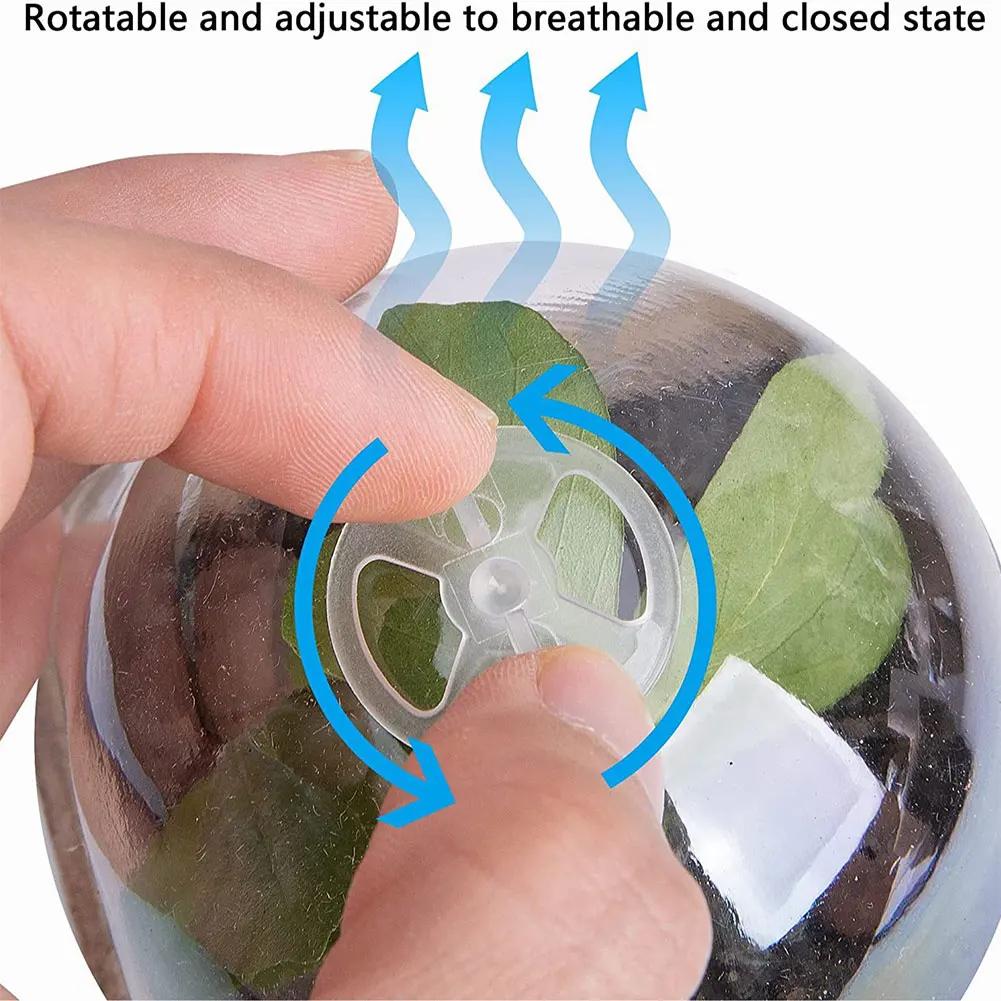 10 buc. ghiveci de cultivare cu capac transparent cutie de reproducere in sera cutie de crestere a plantelor biodegradabile consumabile pentru gradinarit