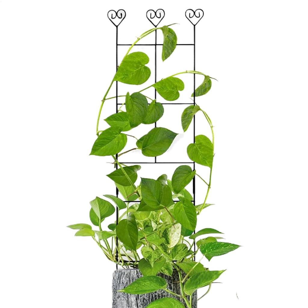 Garden Trellis Durable Garden Trellis Climbing Plant Stem Support Stake Stand Frame Vine Racks For Indoor Plant Flowers