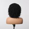 ALAN EATON  13x1  Lace Front Wig Black Short Deep Curly Wigs for Black Women Hair Daily Party High Density Heat Resistant