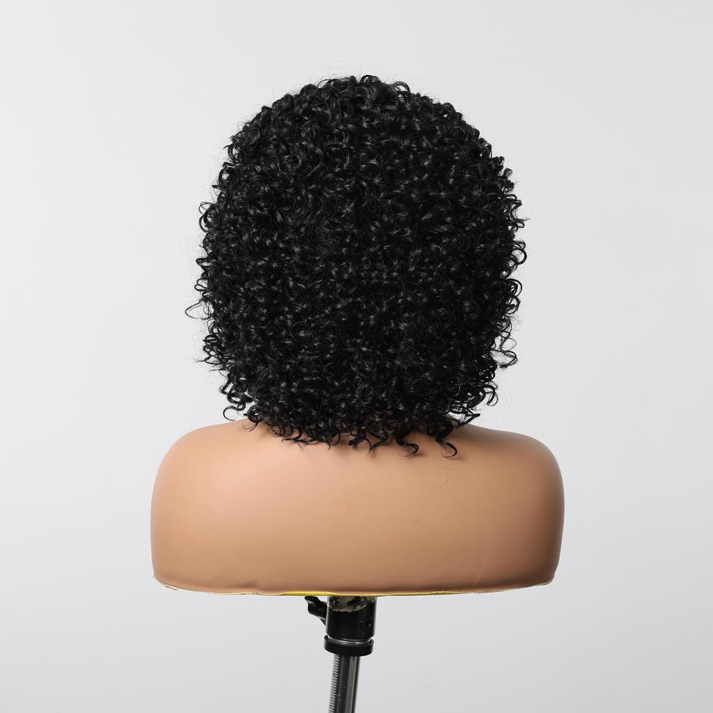 ALAN EATON  13x1  Lace Front Wig Black Short Deep Curly Wigs for Black Women Hair Daily Party High Density Heat Resistant