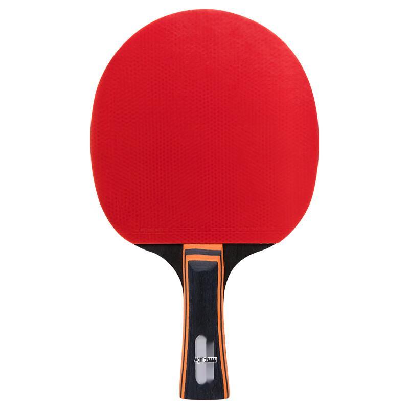 Deli Angernett F2311 1-Star Table Tennis Bat