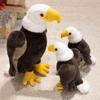 22/35CM Cute Eagle Plush Doll Pillow with Soft Flying Wings Stuffed Animal Home Decor Large Size Simulation Bird Toy Gift