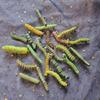 12Pcs Gothic Caterpillars Hairpin For Women Men Creative Costume Party Hairstyle Accessory Haunted House Scary Headpiece