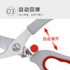 Kitchen Scissors Household Multifunctional Chicken Bone Scissors Supplementary Food Stainless Steel  Tools