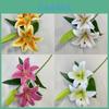 3D-Druck Lilie Kunstblume Hochzeitsmittelstück Mit Langem Stiel Für Party Und Heimdekoration