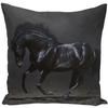 Throw Pillow Case 45x45 Animal Print War White Horse Cushion Cover Sets for Chair Sofa Decorative Home Farmhouse Decor