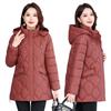 2025 winter down cotton coat short fashionable women autumn and winter coat large size