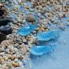 3pcs/set Spot Shark Fish Miniatura Dollhouse Garden Home Bonsai Decoration Mini Toy Miniature Pvc