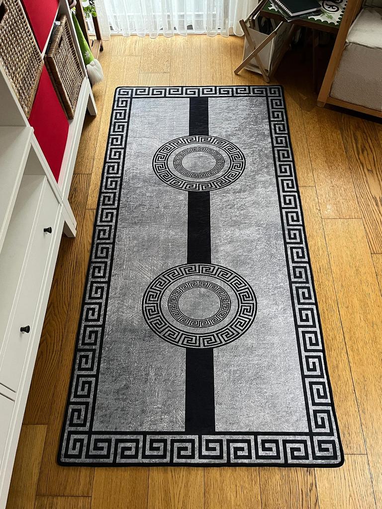 EPeddler Home Modern Classic Pattern Digital Printing Washable Non-Slip Dot Base New Generation Living Room, Bedroom, Entrance Carpet and Floor Mat