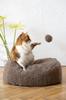 Natural Woolen Cat Toy: Ball String / Beige