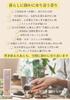 Healing Fragrance To Cleanse Mind and Sandalwood Made In Japan Premium Quality Stick Incense Perfect for Gifts 29g Hoaloha A Space Incense, 100%