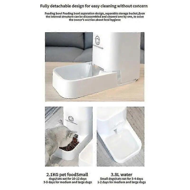 Cat Automatic Feeders Opaque Gravity Feeding System Food Feeder Water Dispenser Safe Using Dog Automatic Feeders Cat Water