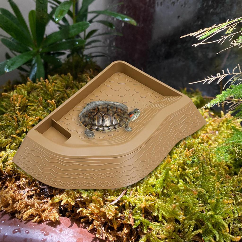 Turtle Bathing Pool, Reptile Water Bowl, Aquarium Ornament, Landscape Feeding Bowl, Turtle Feeder for Bearded Dragons,