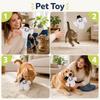 Halloween Interactive Dog Toy with Hanging Rope for Boredom