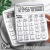 Hlasová kalkulačka s výslovností lidského hlasu pro obchodní finance