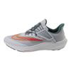 Air Zoom Pegasus 39 FlyEase