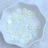 100Pcs New Cute Resin 8mm Mini White Chrysanthemum Flat Back Fit Phone Deco Parts Embellishments For Hair Bows Accessories