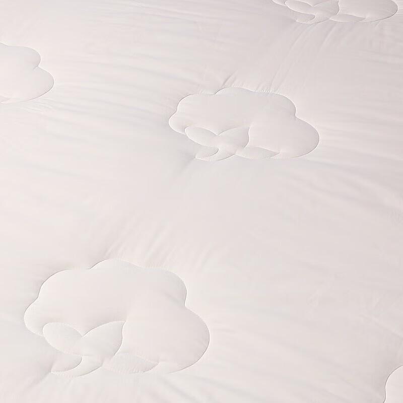 FUANNA Pure Cotton Winter Quilt